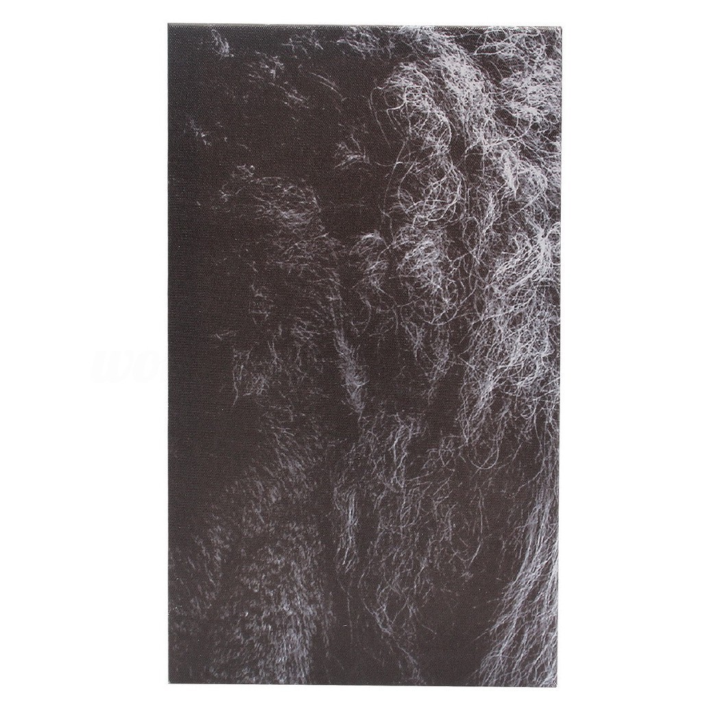 New arrival ☆☆5Pcs Lukisan Kanvas Gambar Singa Hitam Putih untuk Dekorasi Rumah