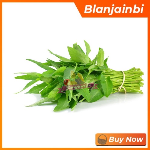 

Kangkung Segar Bandung Area