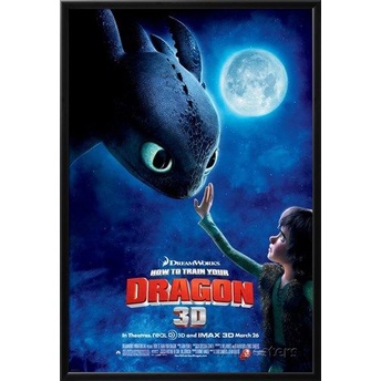 DVD Animasi Anak How To Train Your Dragon 1