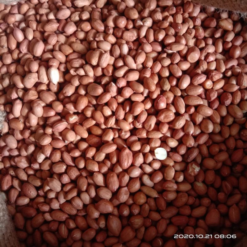

Kacang Tanah / berat 500 gram