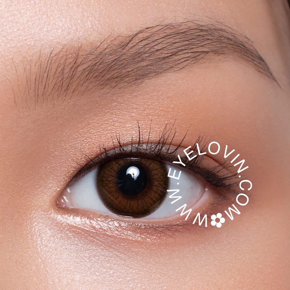 EYELOVIN Softlens Mite Clair - Coco Brown