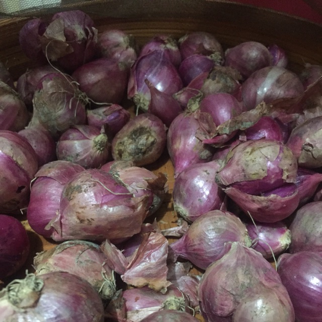 

Bawang Merah Super
