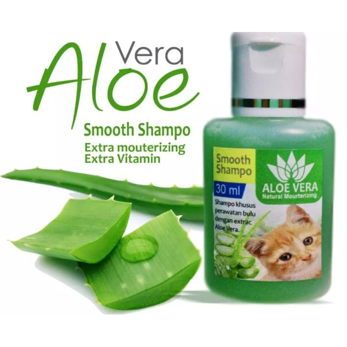 Shampo kucing anti kutu