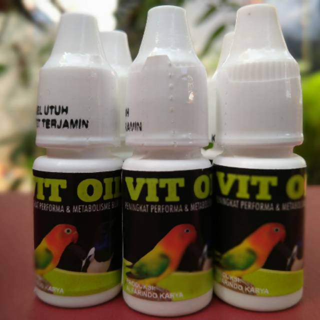 Vitamin burung obat burung gacor
