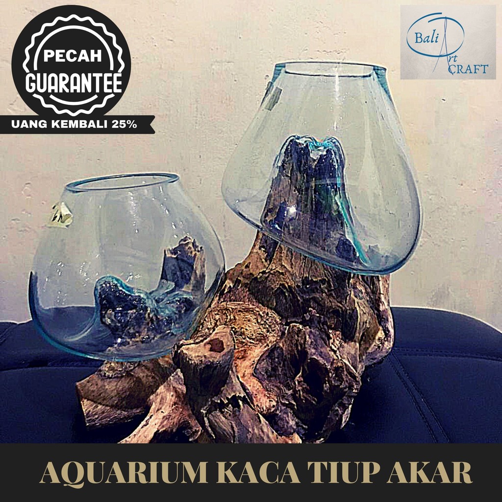 AKUARIUM IKAN CUPANG BETTA FISH 2 (DUA) TINGKAT XXL  / KACA TIUP AKAR BALI / AQUARIUM