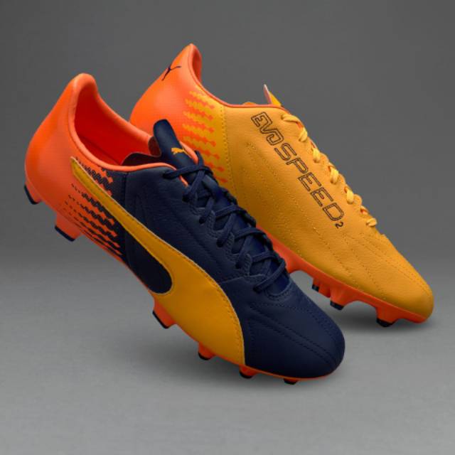 puma evospeed 17.2 fg