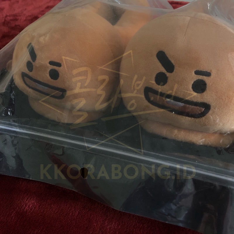 [READY] BT21 Doll Slippers