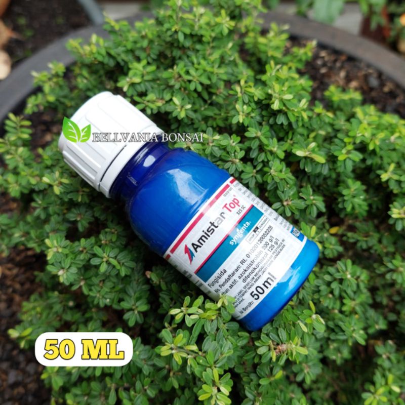 Termurah Amistar Top 325 Sc Fungisida 50 Ml