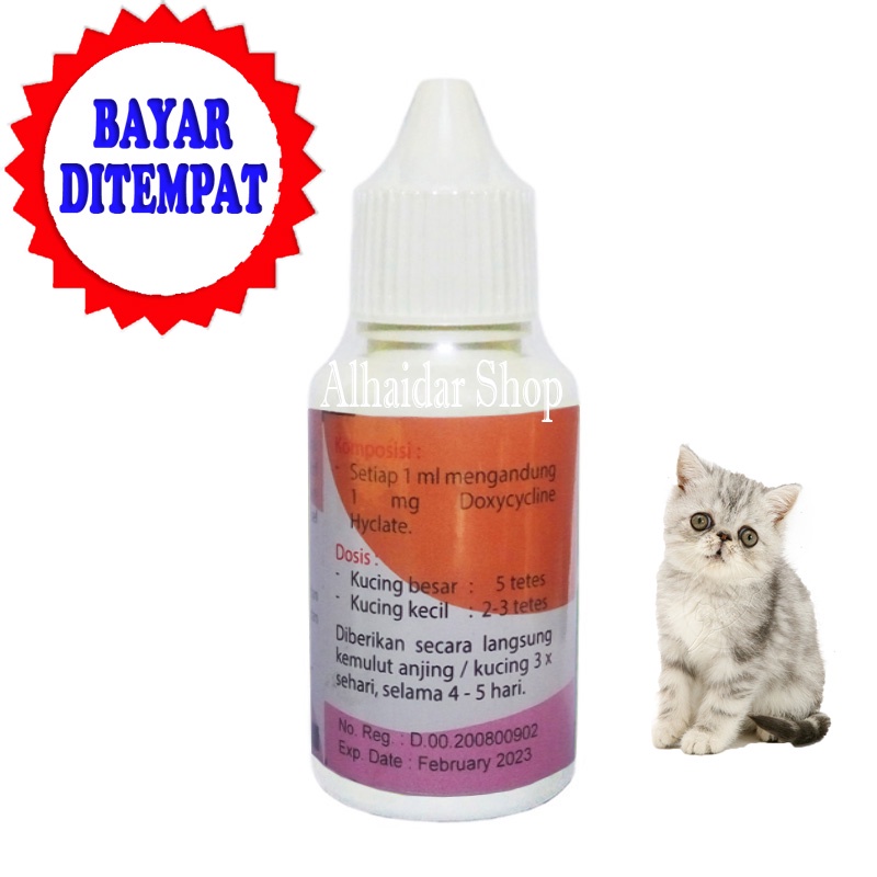 obat kucing demam panas anti biotik bio cat