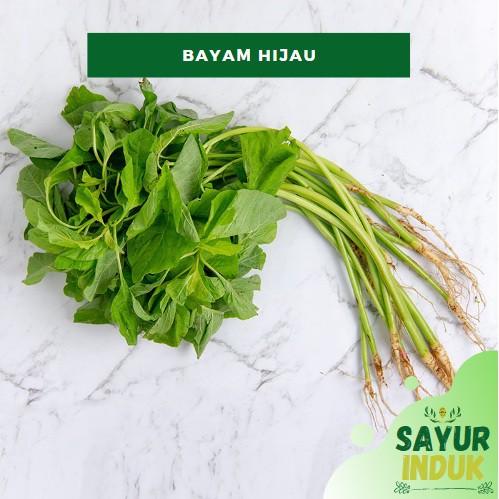 

Sayur Induk - Bayam Hijau 0.4 - 0.5 Gram Per Ikat Fresh Grade A Spinach Segar