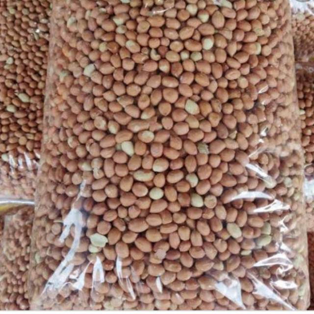 

Kacang tanah