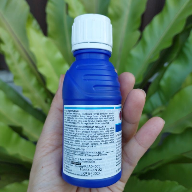 CURACRON 500EC INSEKTISIDA 100ml anti hama kutu daun, ulat grayak, lalat buah, ulat tanah, penggerek batang dll