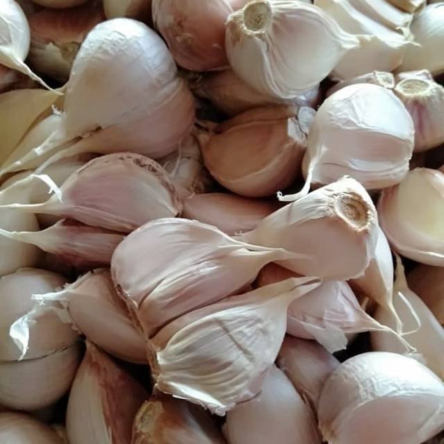 

Bawang Putih Katting Super sudah bersih (Lepas dari Bonggol) Per KG