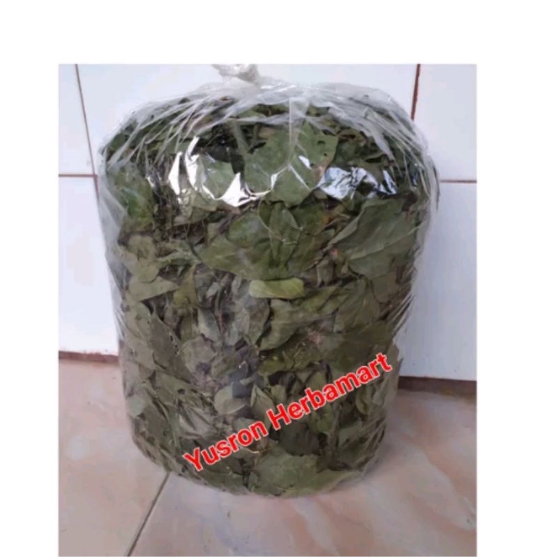 

DAUN SIMBUKAN KERING 500 GRAM