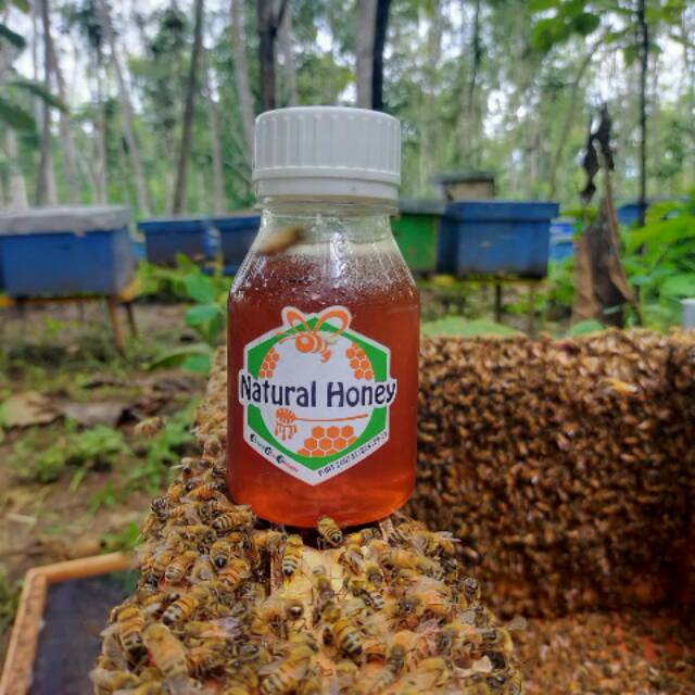 

(Raw Honey) Madu Murni 300 gr