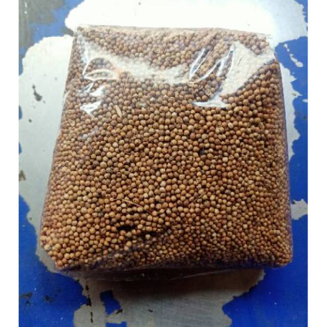 

ketumbar obat Ketumbar bahan ketumbar hitam asli ketumbar kuning 1kg