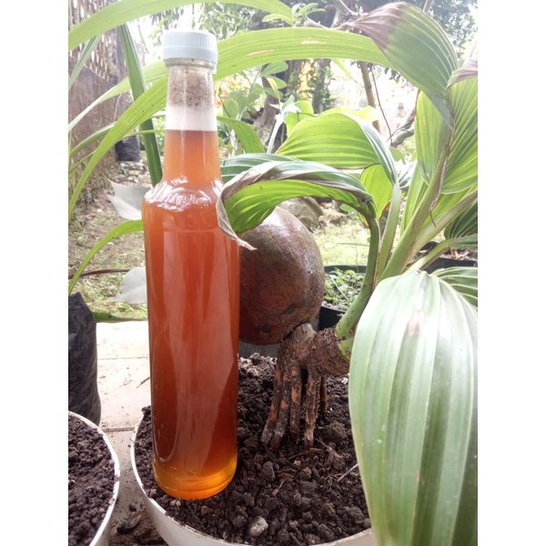 

madu asli