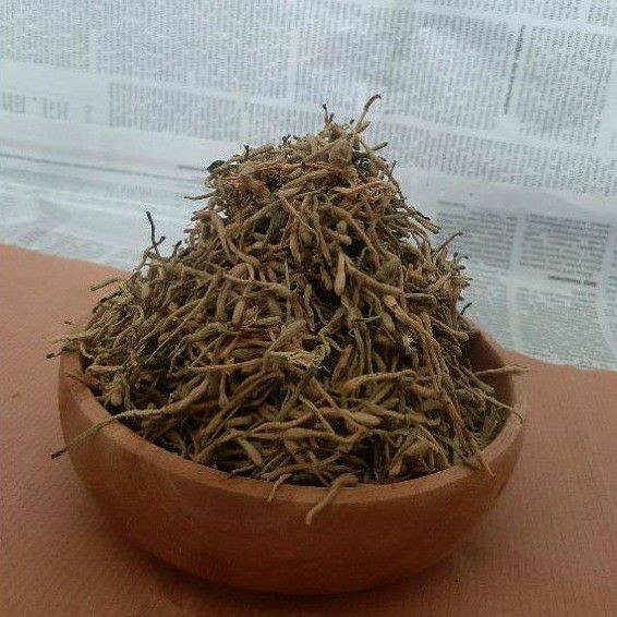 

Teh bunga Honey Suckle ( Jin Yin Hua Flos Lonicerae)