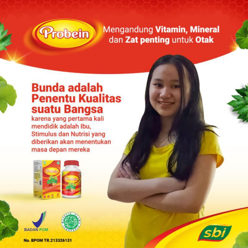 Probein nutrisi dan vitamin otak untuk mencerdaskan dan menambah daya ingat