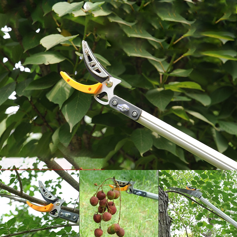 Mi.more Gunting Alat Pemetik Buah Pangkas Jangkauan Panjang 1m/2m, Pemangkas