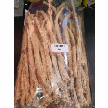 

100G DANGSHEN TONGSEM TONGSIM TONG SEM TONG SIM GRADE A UKURAN JUMBO DANSHEN