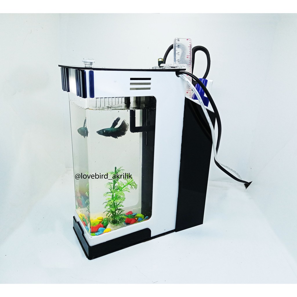 Aquarium Display Aquarium Acrylic Aquarium Unik Soliter Ikan Cupang Aquarium Ikan Hias Shopee Indonesia