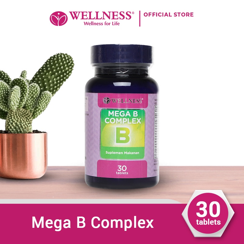 Wellness Mega B Complex - 30 Tablets