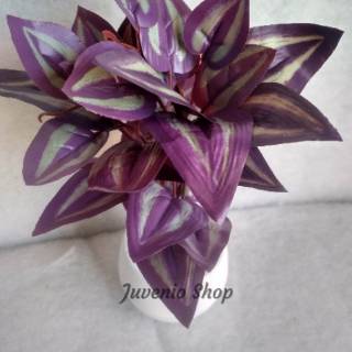 Set Pot Tanaman Hias Artifisial Sabrina Zebrina Ungu Set Pot Tanaman Hias Artifisial Sabrina Zebrina Ungu