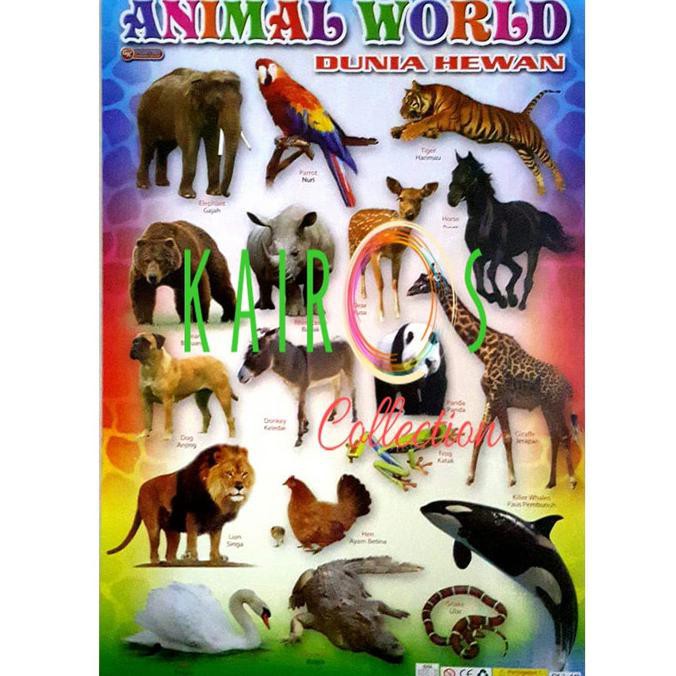 Jual Poster Animal | Shopee Indonesia