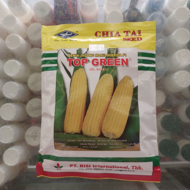 BENIH JAGUNG MANIS HIBRIDA F1 TOP GREEN SL 307 BERAT 250 GRAM