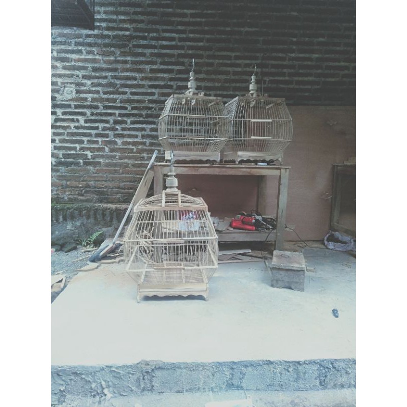 sangkar burung derkuku/puter ambrukan packing peti kayu