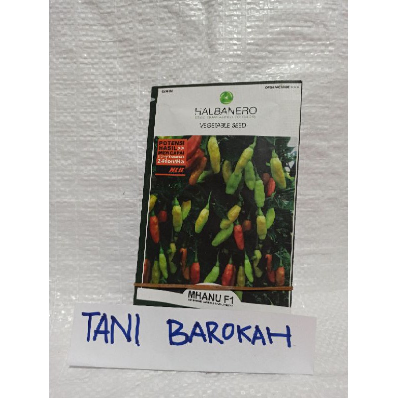

cabe rawit MHAUNI F1 10