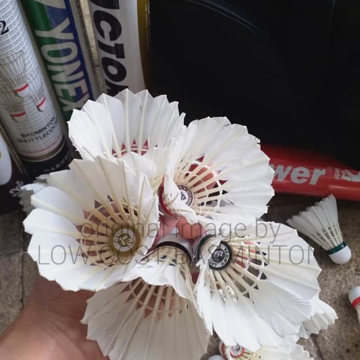Murah Shuttle Cock Bekas Keren