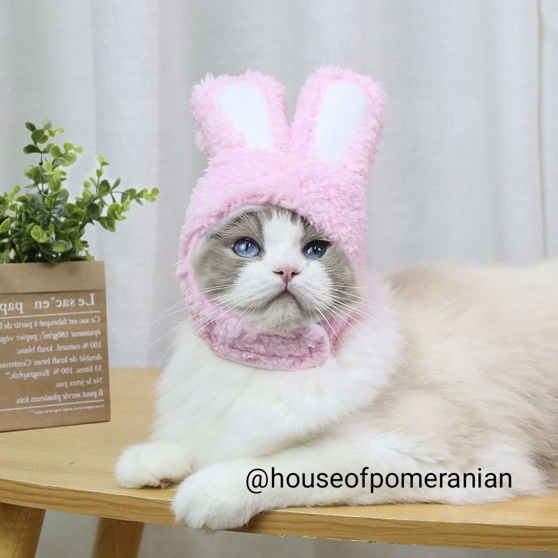 PET BUNNY HAT topi kelinci anjing kucing aksesoris kostum hewan lucu