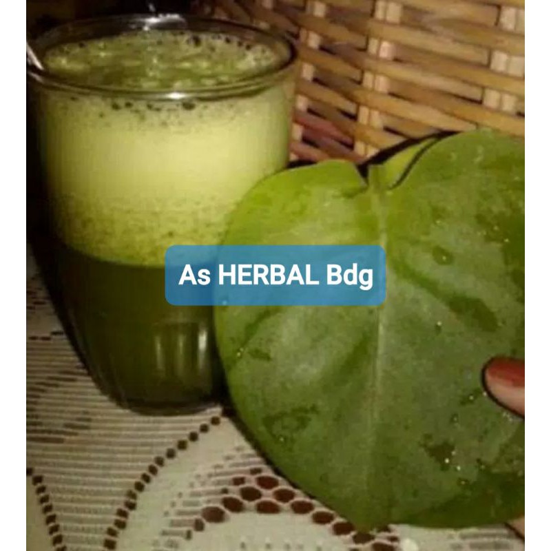 

Jus daun Binahong Segar 600 ml