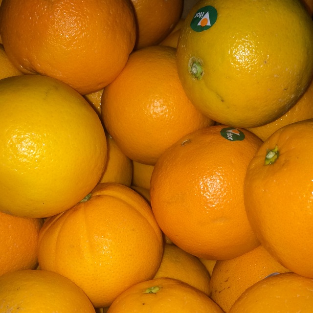

Sunkist navel australia