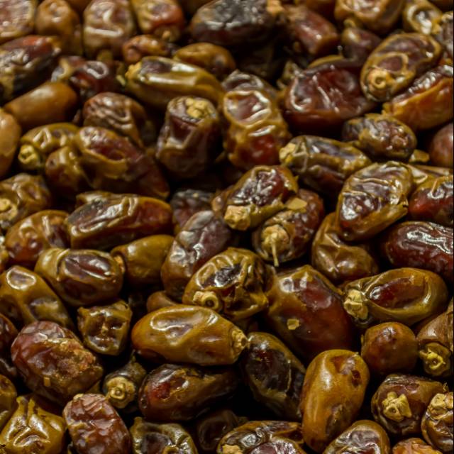 

Kurma Sayer