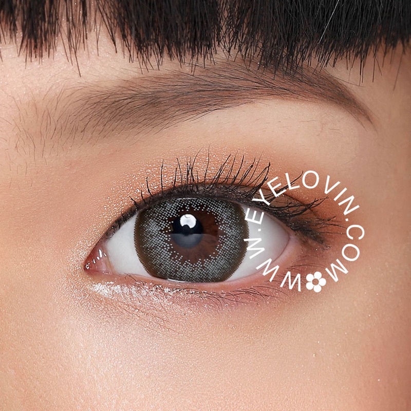 Eyelovin x Patricia Stephanie Softlens Neo Cosmo - Sage Xtra Grey N255