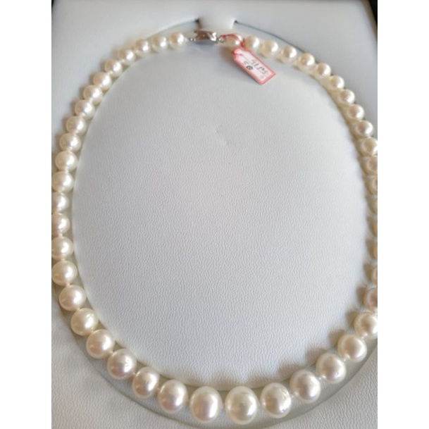 Kalung Mutiara Laut Asli Warna Putih