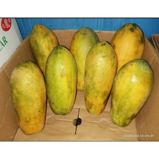 

PEPAYA CALIFORNIA