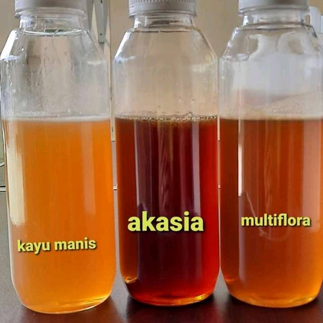 

Madu Asli Hutan Liar dari pohon kayu Sialang