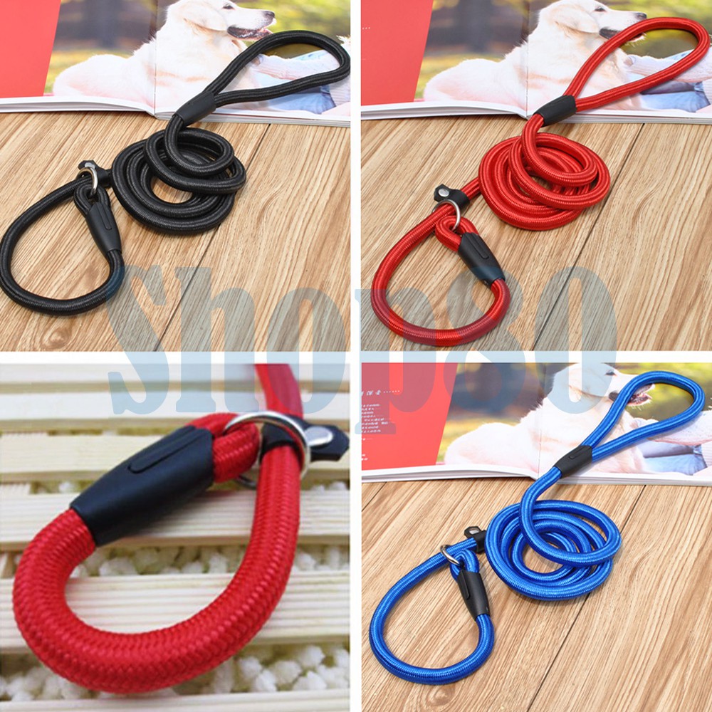 Slip Lead Besar &amp; Kecil Cesar Millan Tali Tuntun Nylon Nilon Anjing Kucing Dog Cat Leash Sliplead