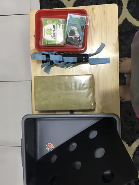 Paket Starter Kit Hidroponik 3 Set Slab Komplit (nampan + Spuit) Murah