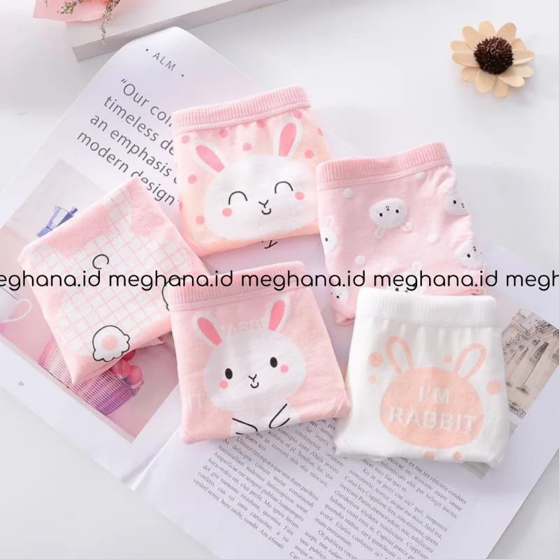 CELANA DALAM PREMIUM SUPER BAGUS M L XL MOTIF (CD KELINCI)