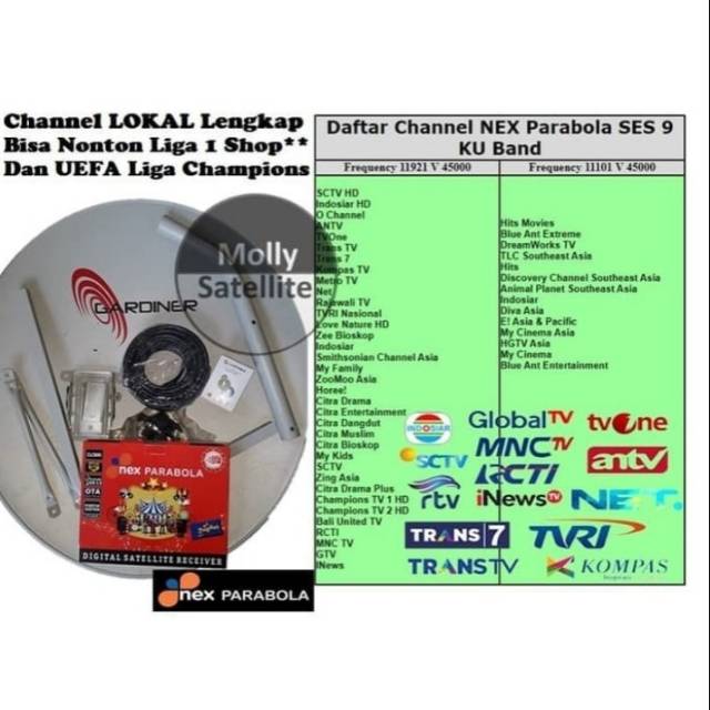 Parabola Mini NEX Parabola