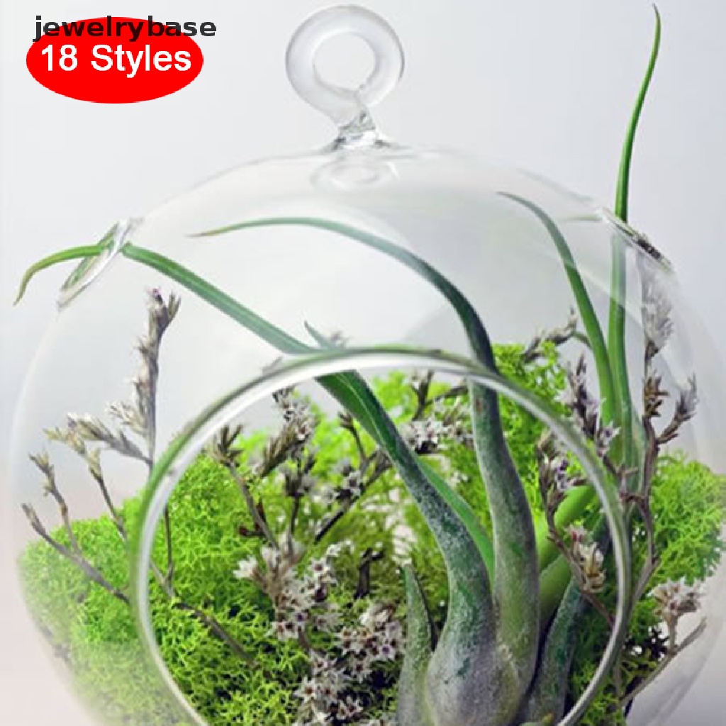 [Base] Hanging Transparent Ball Glass Flower Planter Vase Terrarium Landscape Container Boutique