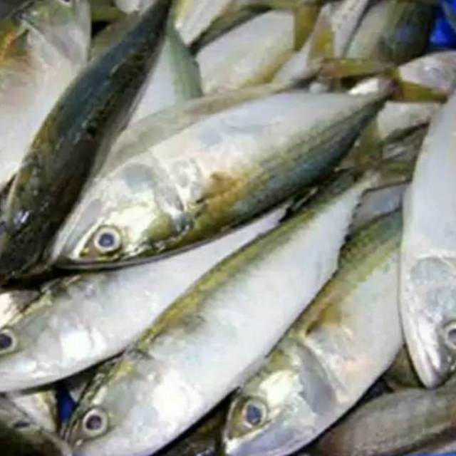 

Ikan Kembung Fresh 500grm (3-4pcs)|| Masakan Rumahan Dapur Bunda Lia713