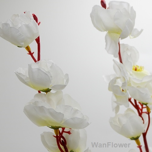 WANFlower Bunga Cherry Blossom Sakura X7 * BROKEN WHITE