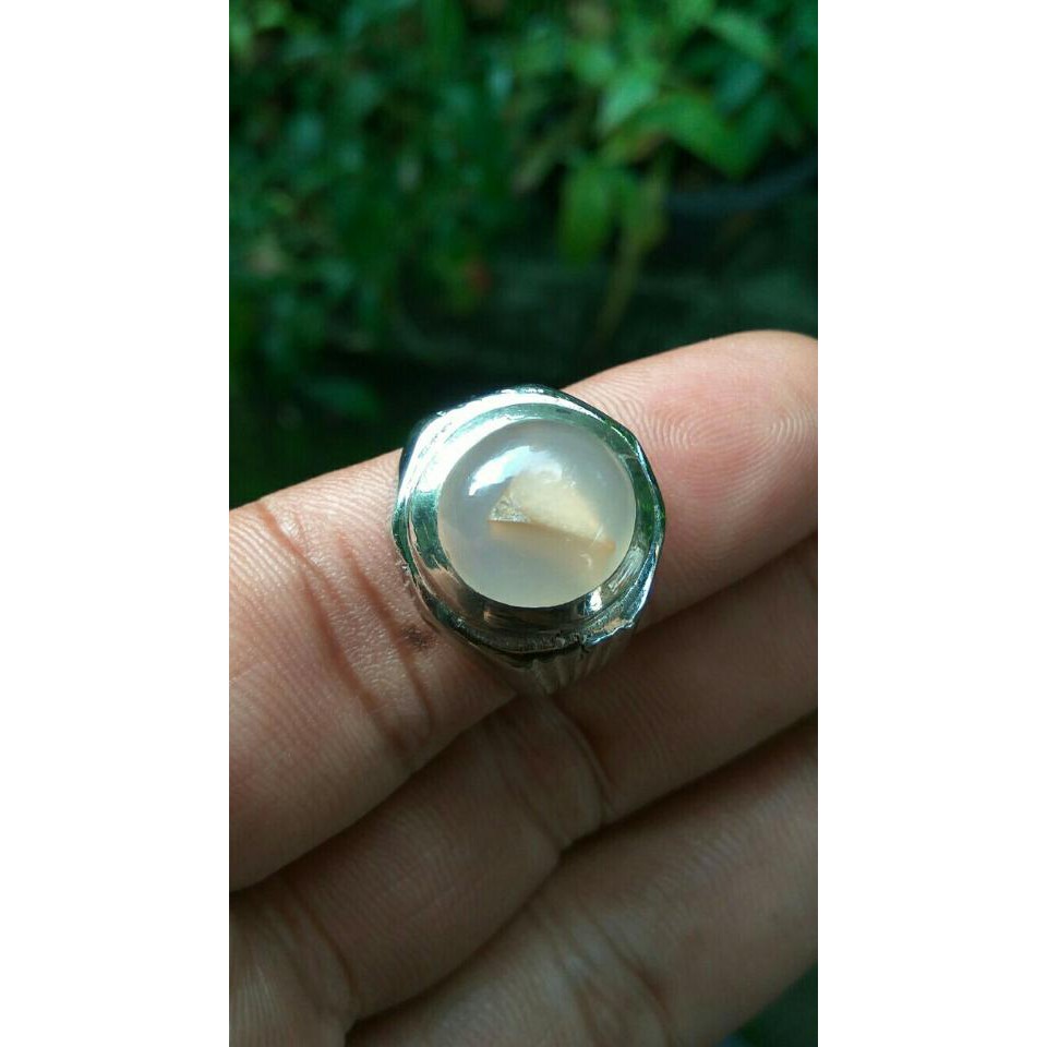 Natural White Raflesia Combong - Batu Combong - Combong Serambut