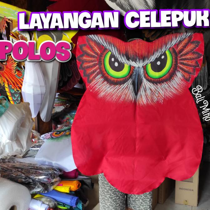 Open DS] LAYANGAN CELEPUK MURAH/LAYANGAN BURUNG HANTU/LAYANG LAYANG KAIN/LIPAT